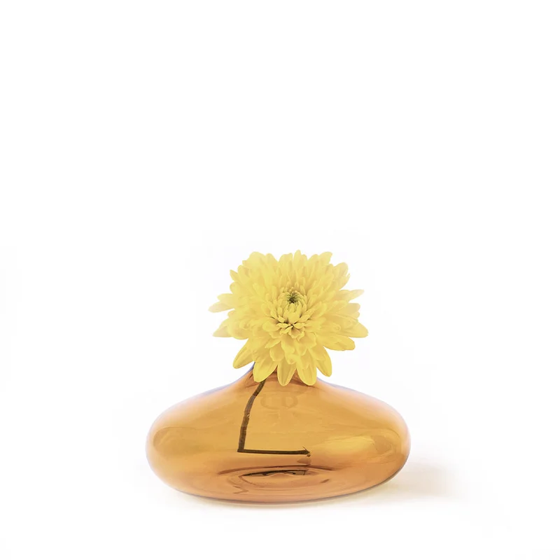 alberoshop3536964