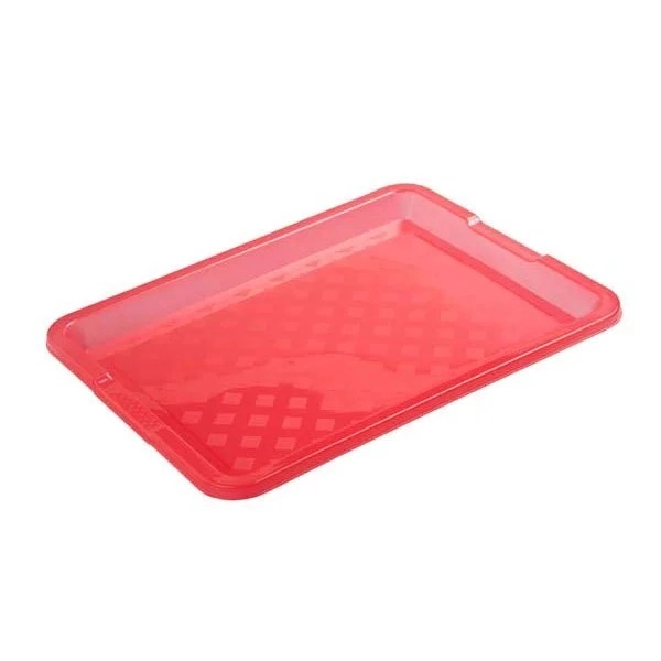 kiwistore170477