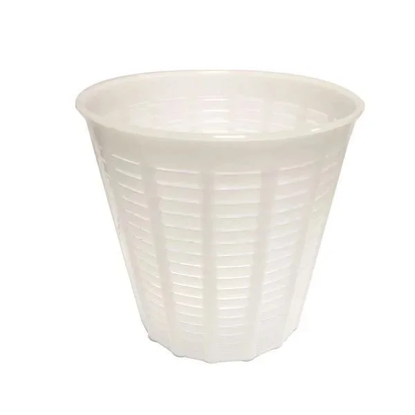 kiwistore233508