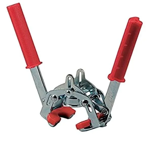 kiwistore235121