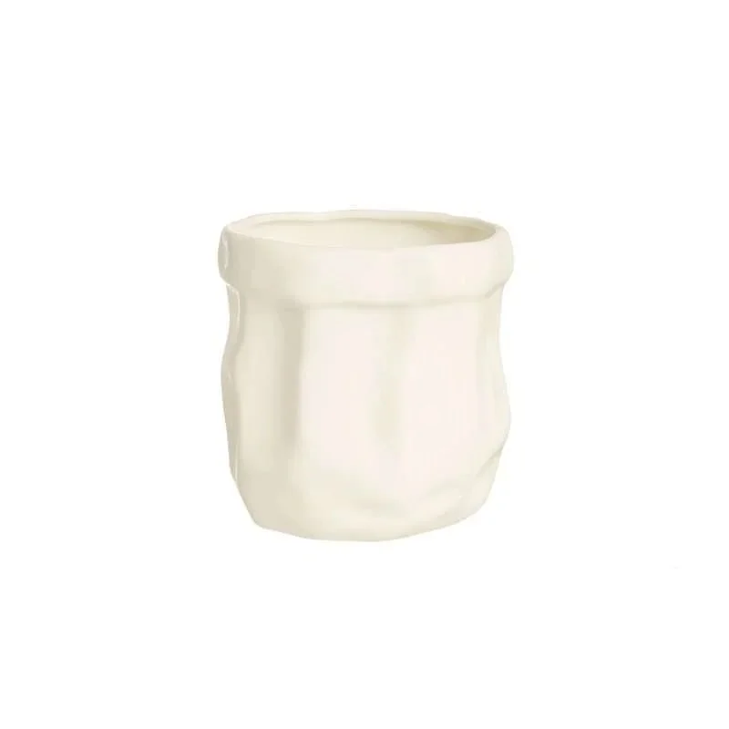 kiwistore3443898