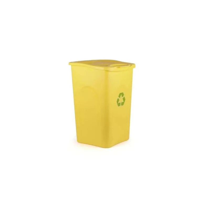 kiwistore3625140