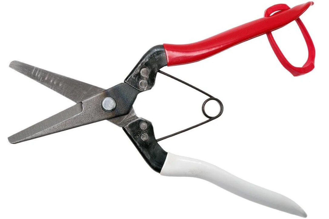 knivesandtools3917468