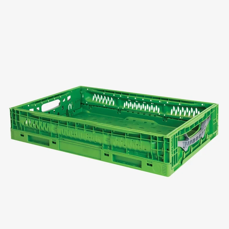 lambertin3481460